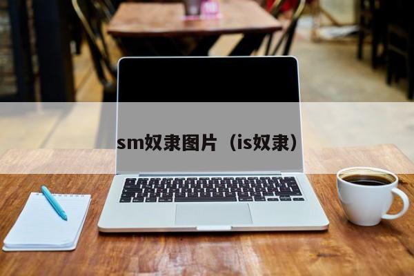 sm奴隶图片(is奴隶)