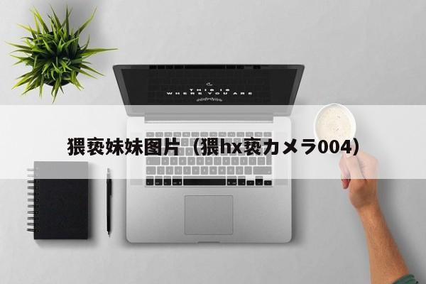 猥亵妹妹图片(猥hx亵カメラ004)