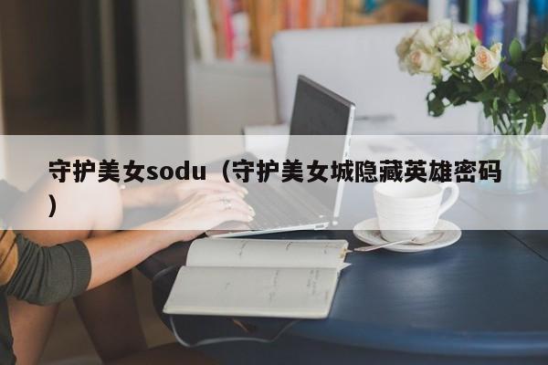 守护美女sodu(守护美女城隐藏英雄密码)