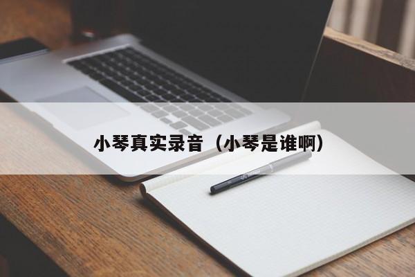 小琴真实录音(小琴是谁啊)