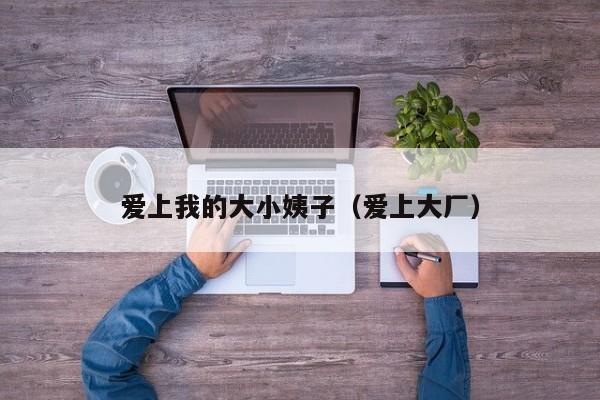 爱上我的大小姨子(爱上大厂)