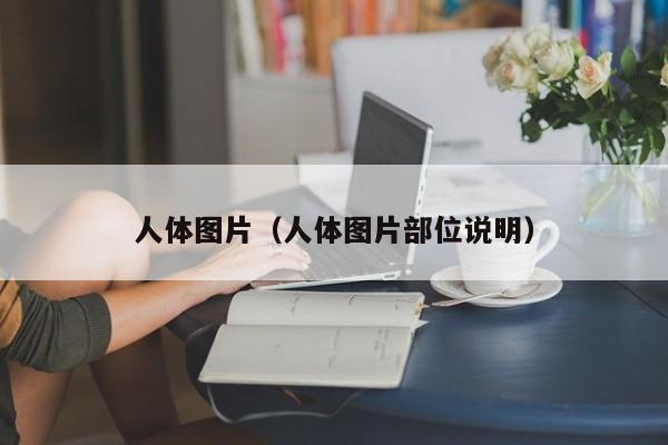 人体图片(人体图片部位说明)