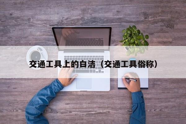 交通工具上的白洁(交通工具俗称)