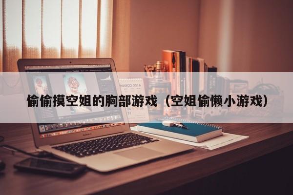 偷偷摸空姐的胸部游戏(空姐偷懒小游戏)