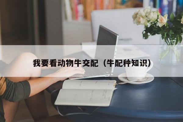 我要看动物牛交配(牛配种知识)