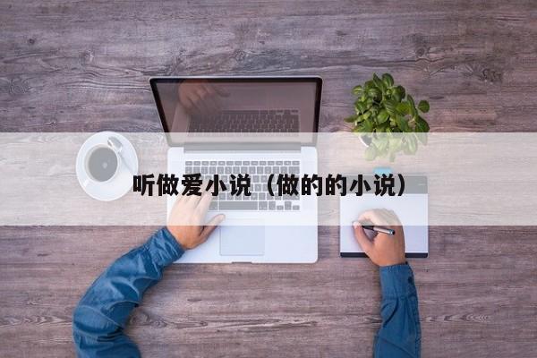 听做爱小说(做的的小说)