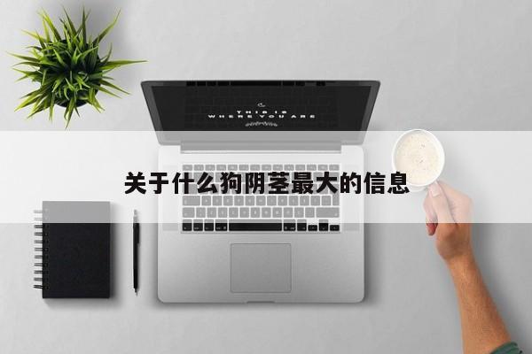 关于什么狗阴茎最大的信息
