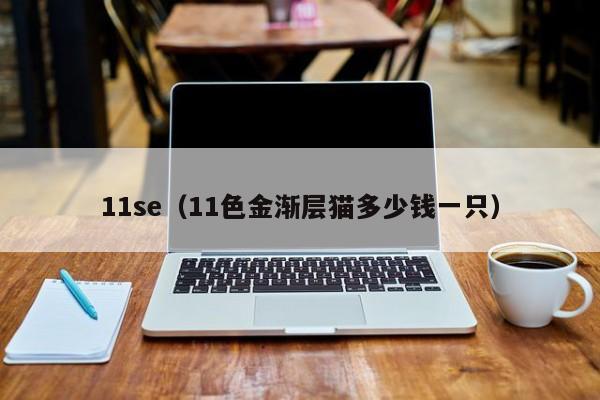 11se(11色金渐层猫多少钱一只)