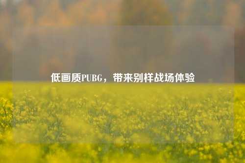 低画质PUBG,带来别样战场体验