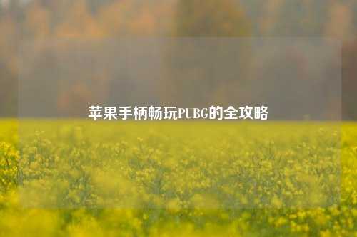 苹果手柄畅玩PUBG的全攻略