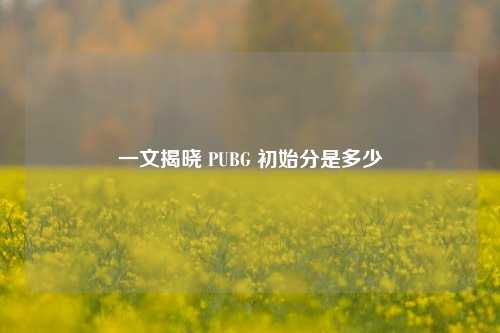 一文揭晓 PUBG 初始分是多少