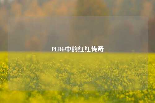 PUBG中的红红传奇