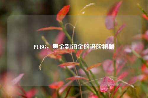 PUBG，黄金到铂金的进阶秘籍