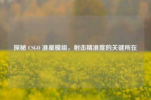 探秘 CSGO 准星模组，射击精准度的关键所在