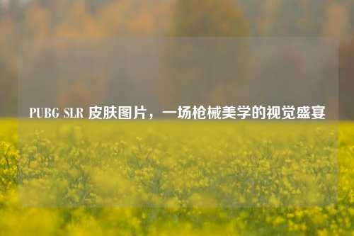 PUBG SLR 皮肤图片，一场枪械美学的视觉盛宴