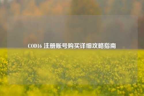 COD16 注册账号购买详细攻略指南