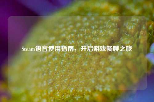 Steam语音使用指南，开启游戏畅聊之旅
