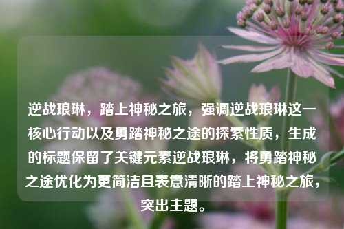 逆战琅琳，踏上神秘之旅，强调逆战琅琳这一核心行动以及勇踏神秘之途的探索性质，生成的标题保留了关键元素逆战琅琳，将勇踏神秘之途优化为更简洁且表意清晰的踏上神秘之旅，突出主题。