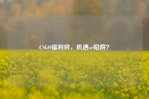 CSGO福利房，机遇or陷阱？