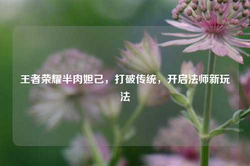 王者荣耀半肉妲己,打破传统,开启法师新玩法