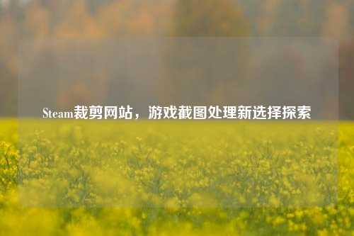 Steam裁剪网站，游戏截图处理新选择探索