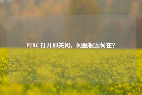 PUBG 打开即关闭,问题根源何在?