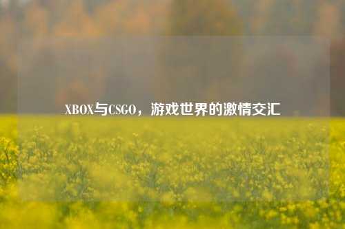 XBOX与CSGO,游戏世界的激情交汇