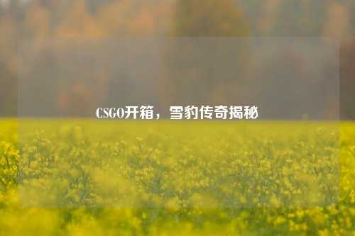 CSGO开箱,雪豹传奇揭秘