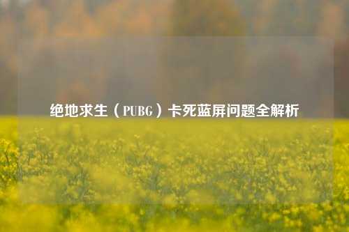 绝地求生(PUBG)卡死蓝屏问题全解析