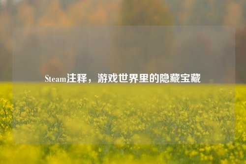 Steam注释，游戏世界里的隐藏宝藏