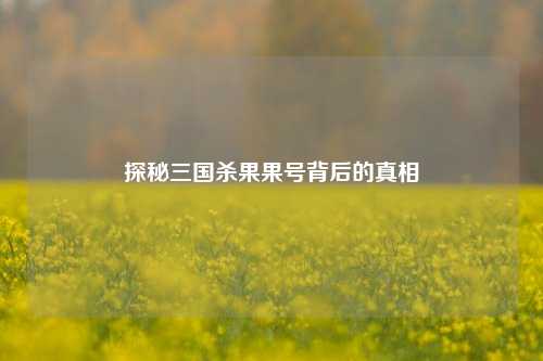 探秘三国杀果果号背后的真相