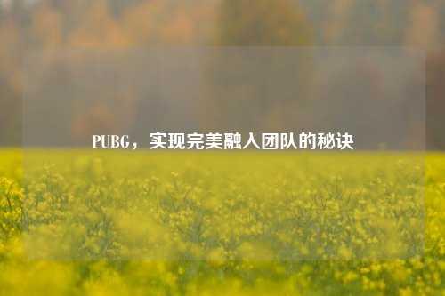 PUBG，实现完美融入团队的秘诀