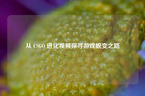 从 CSGO 进化视频探寻游戏蜕变之路