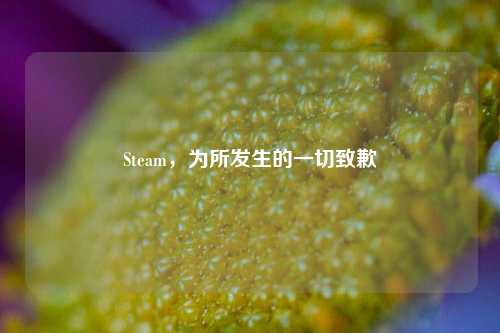 Steam,为所发生的一切致歉