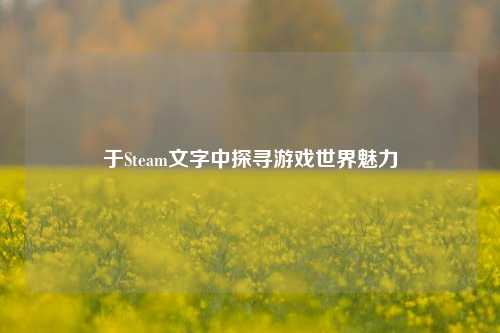 于Steam文字中探寻游戏世界魅力