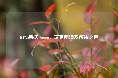 GTA5丢失Steam,玩家困境及解决之道