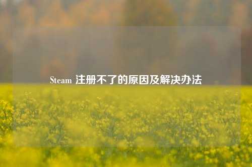 Steam 注册不了的原因及解决办法