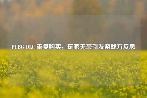 PUBG DLC 重复购买，玩家无奈引发游戏方反思
