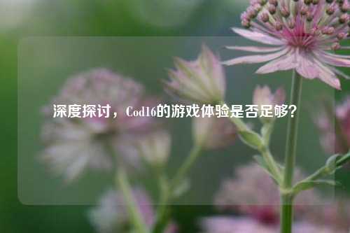 深度探讨，Cod16的游戏体验是否足够？