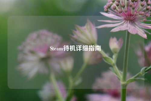 Steam待机详细指南
