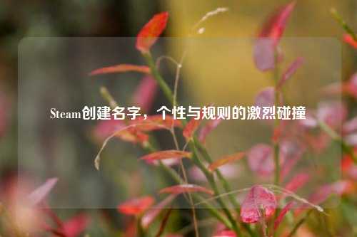 Steam创建名字，个性与规则的激烈碰撞