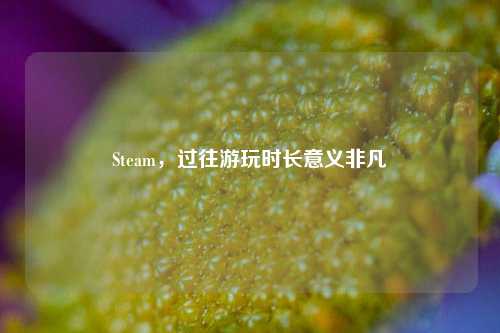 Steam，过往游玩时长意义非凡