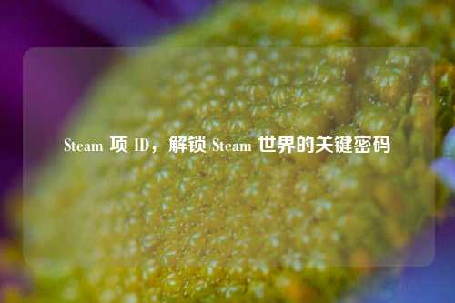 Steam 项 ID，解锁 Steam 世界的关键密码