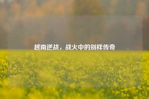 越南逆战，战火中的别样传奇