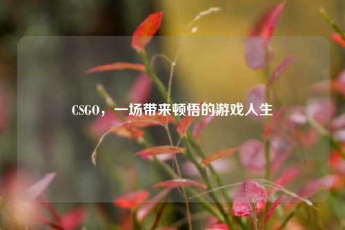 CSGO，一场带来顿悟的游戏人生