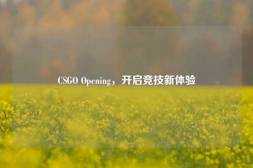 CSGO Opening，开启竞技新体验