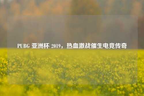 PUBG 亚洲杯 2019，热血激战催生电竞传奇