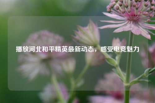 播放河北和平精英最新动态，感受电竞魅力