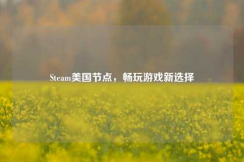Steam美国节点,畅玩游戏新选择