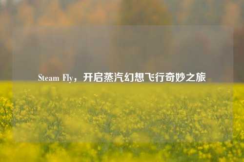 Steam Fly，开启蒸汽幻想飞行奇妙之旅